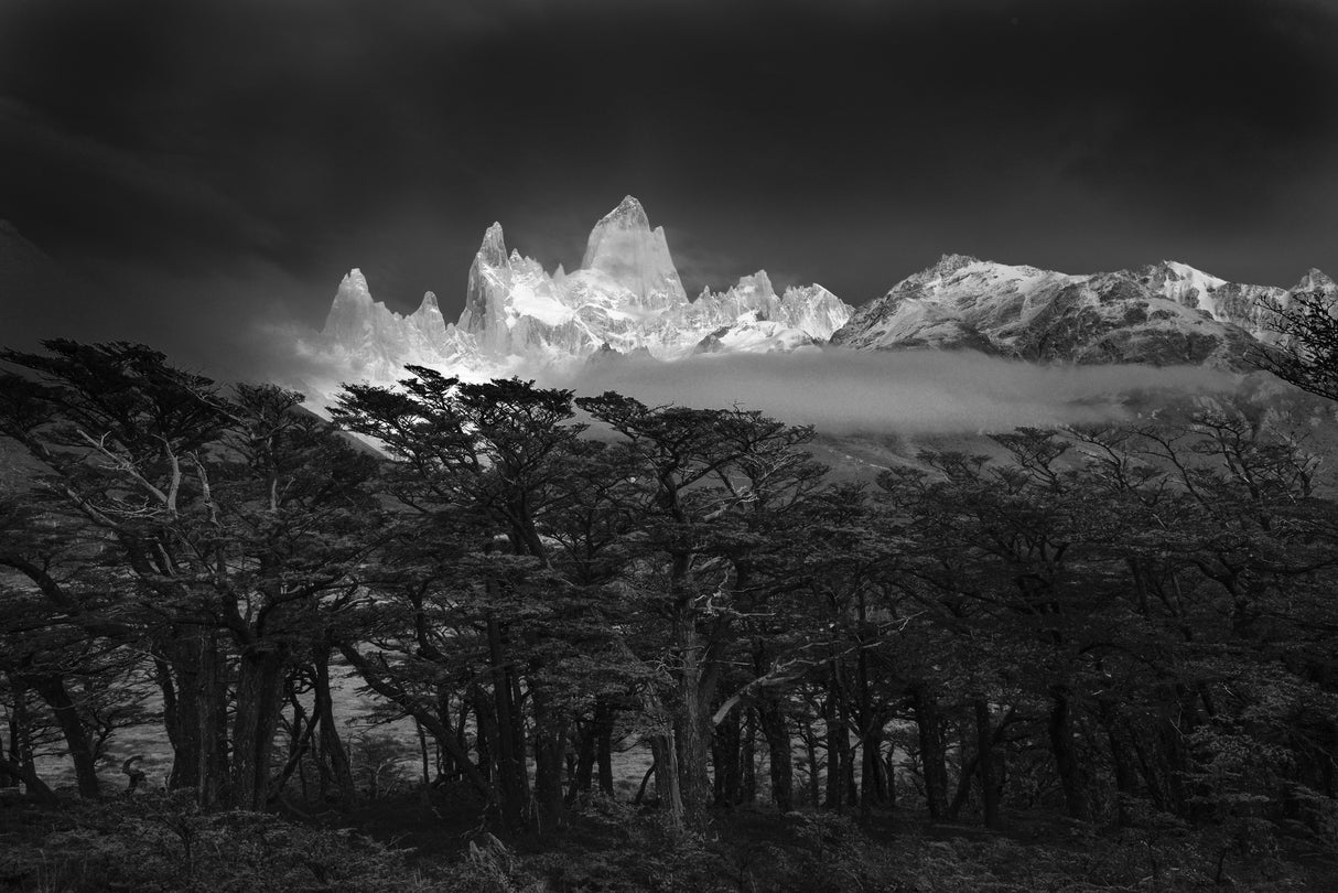 Fitz Roy Poster och Canvastavla
