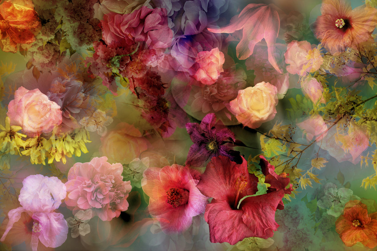 Memory of a faraway garden Poster och Canvastavla