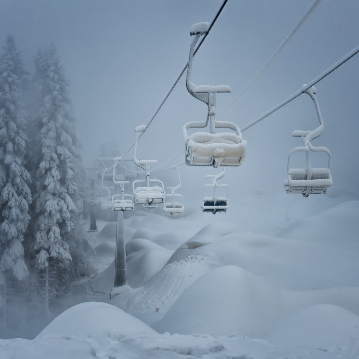 Snow Poster och Canvastavla