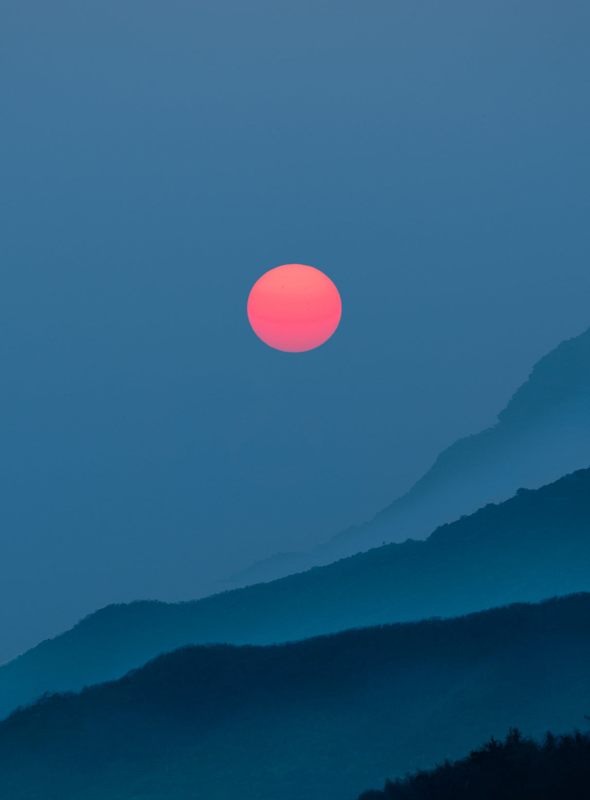 A SUN Poster och Canvastavla