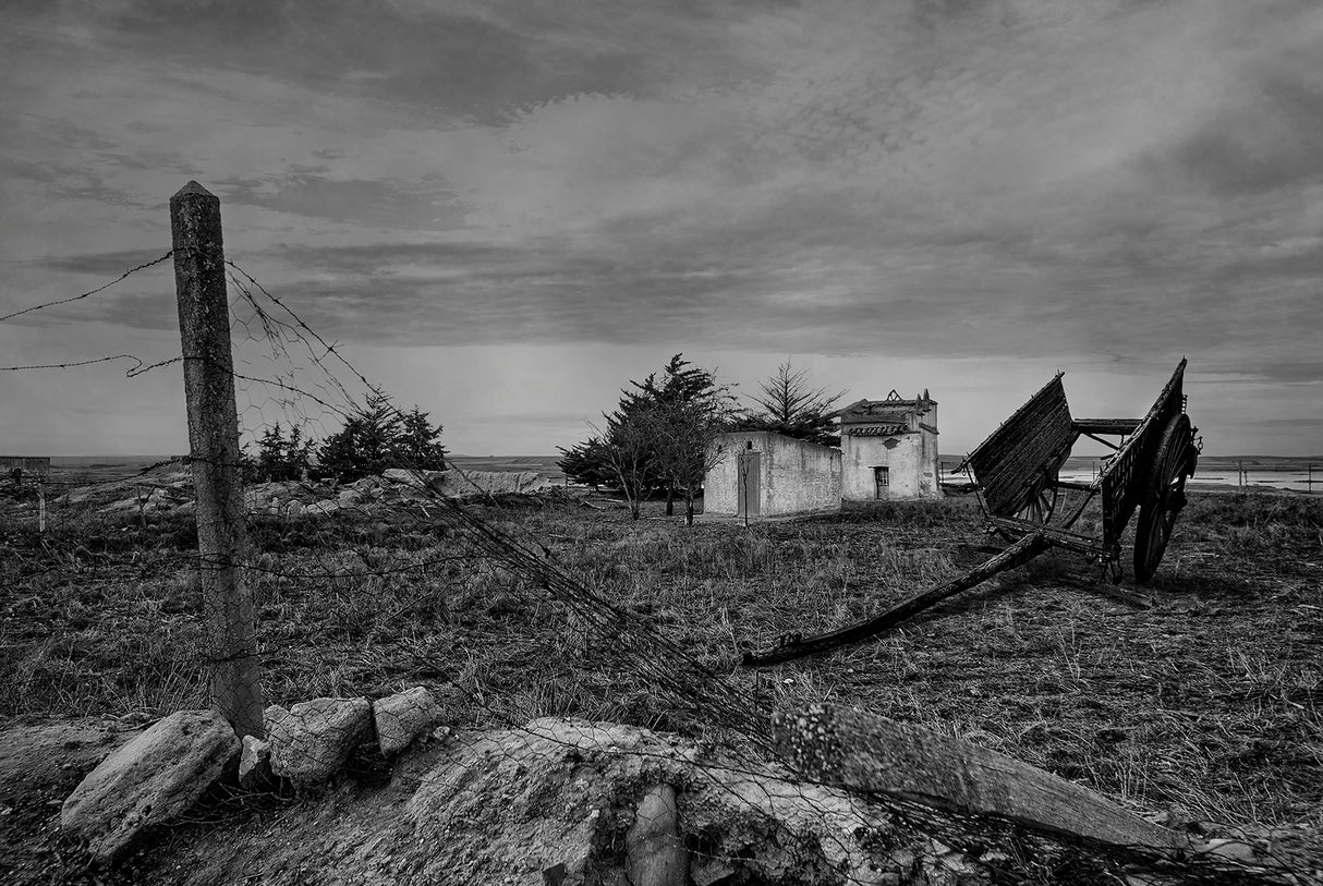 Forgotten ways of living Poster och Canvastavla