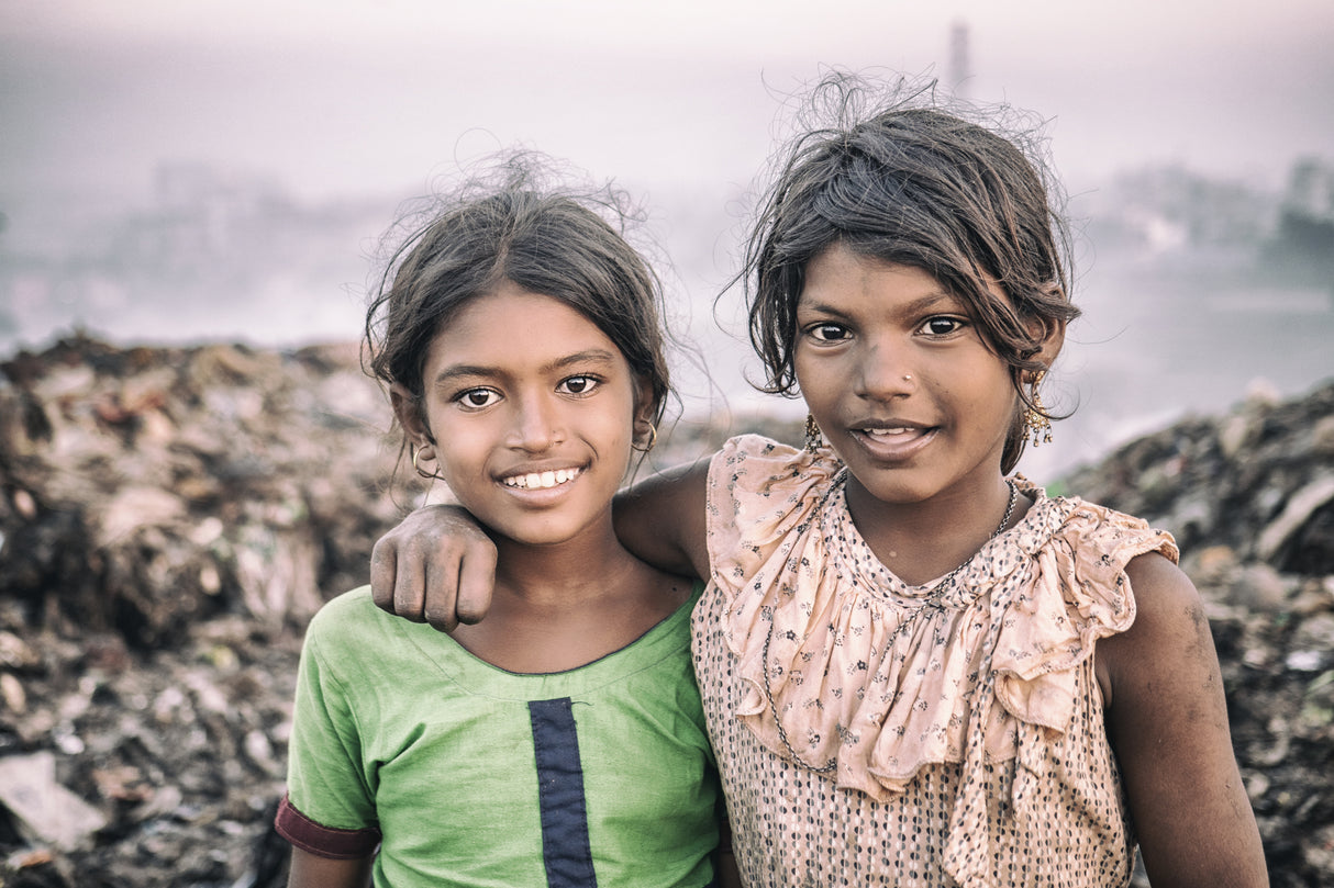 Friends from the dumpyard Poster och Canvastavla