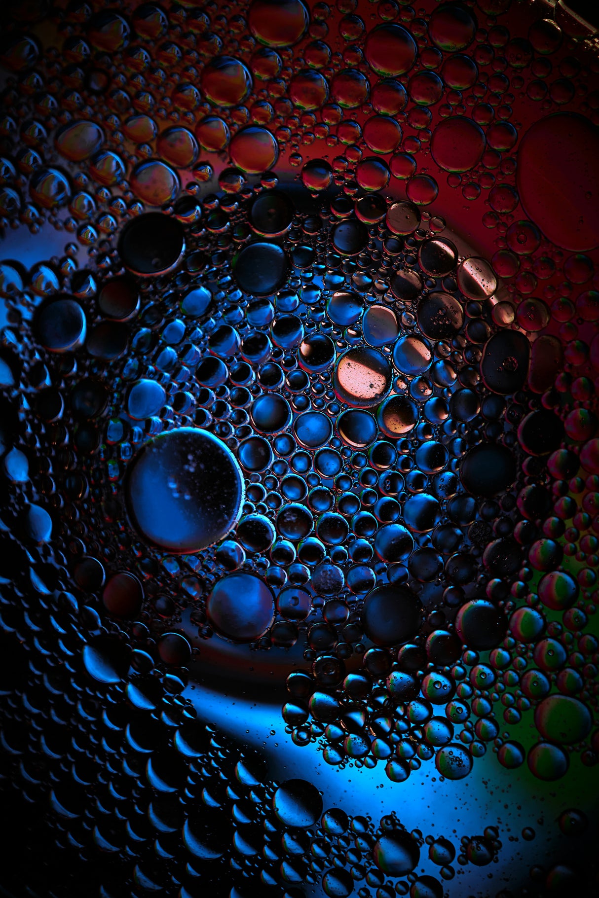 Pepsi Poster och Canvastavla