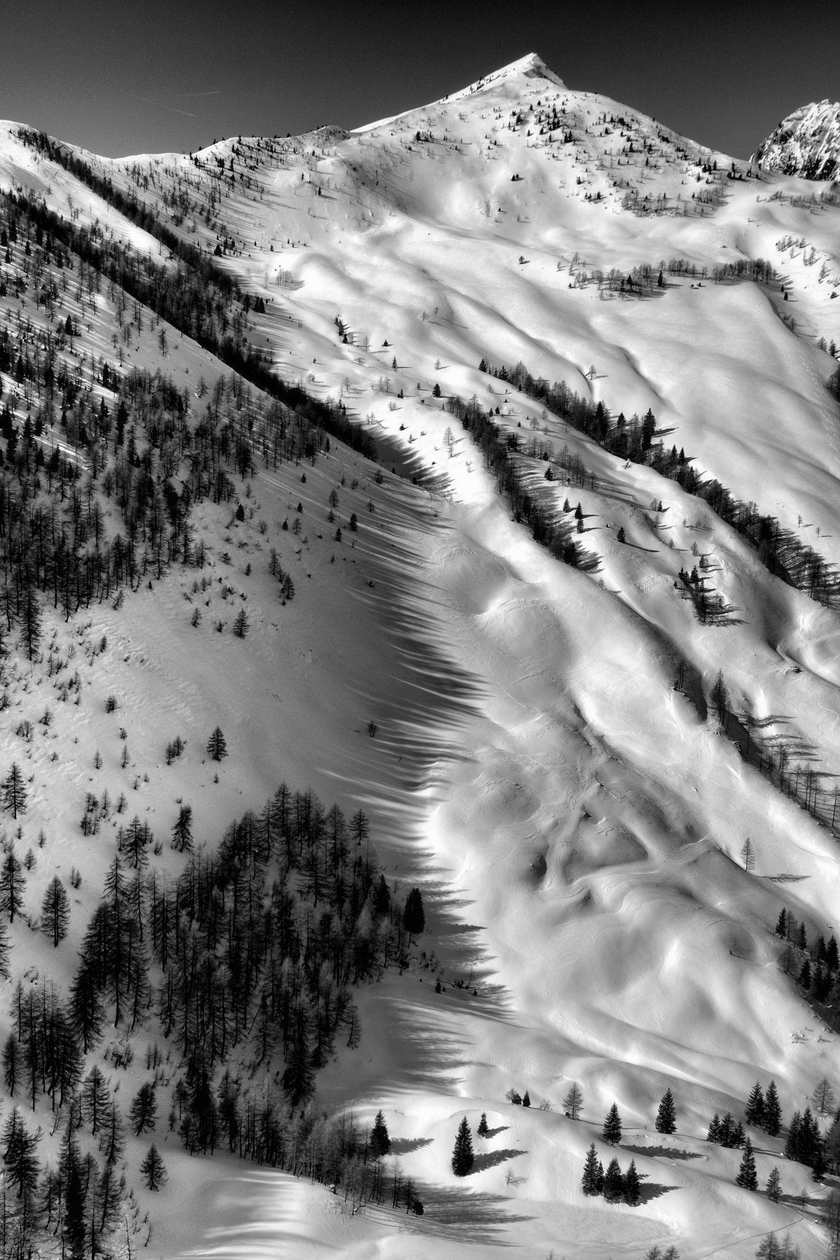 Low winter sun shadows 2 Poster och Canvastavla