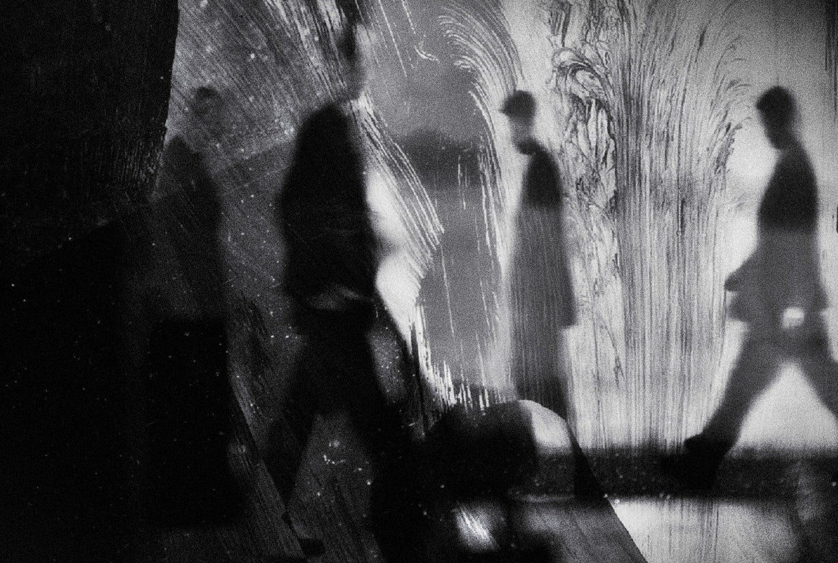 shadows ( walkers ) Poster och Canvastavla