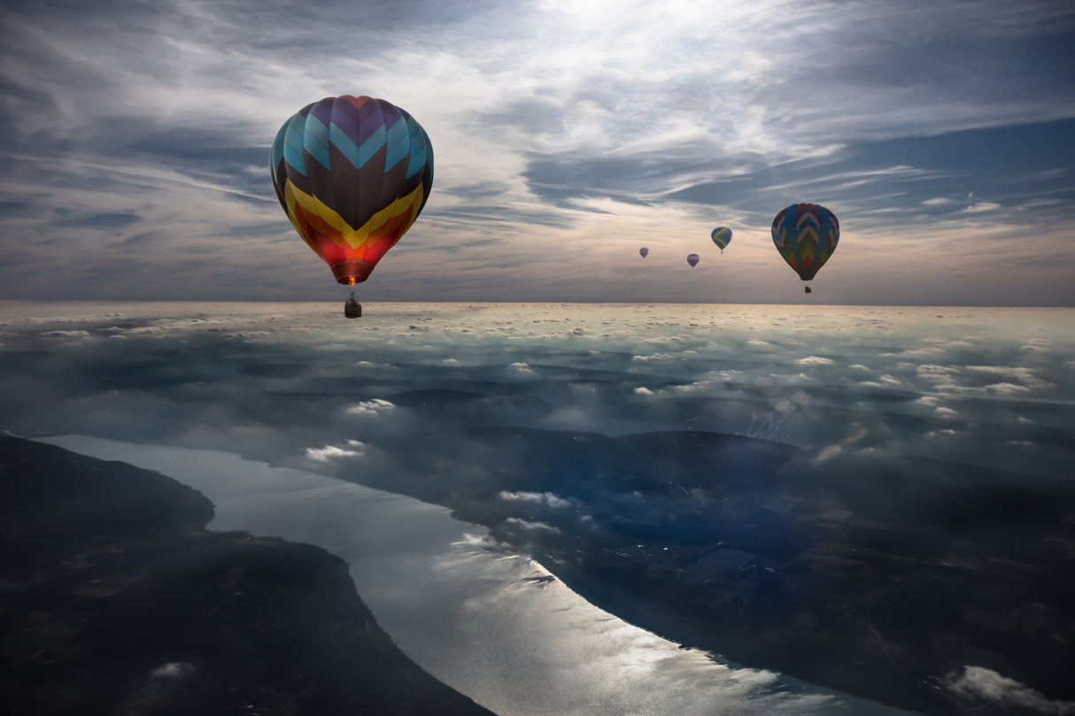 To Kiss the Sky Poster och Canvastavla