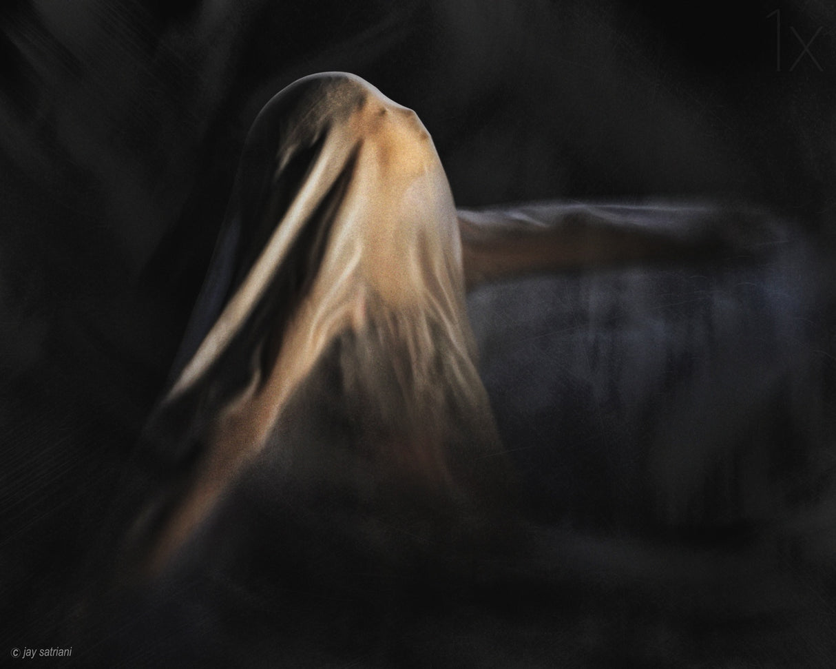 Flying In a Dream Poster och Canvastavla