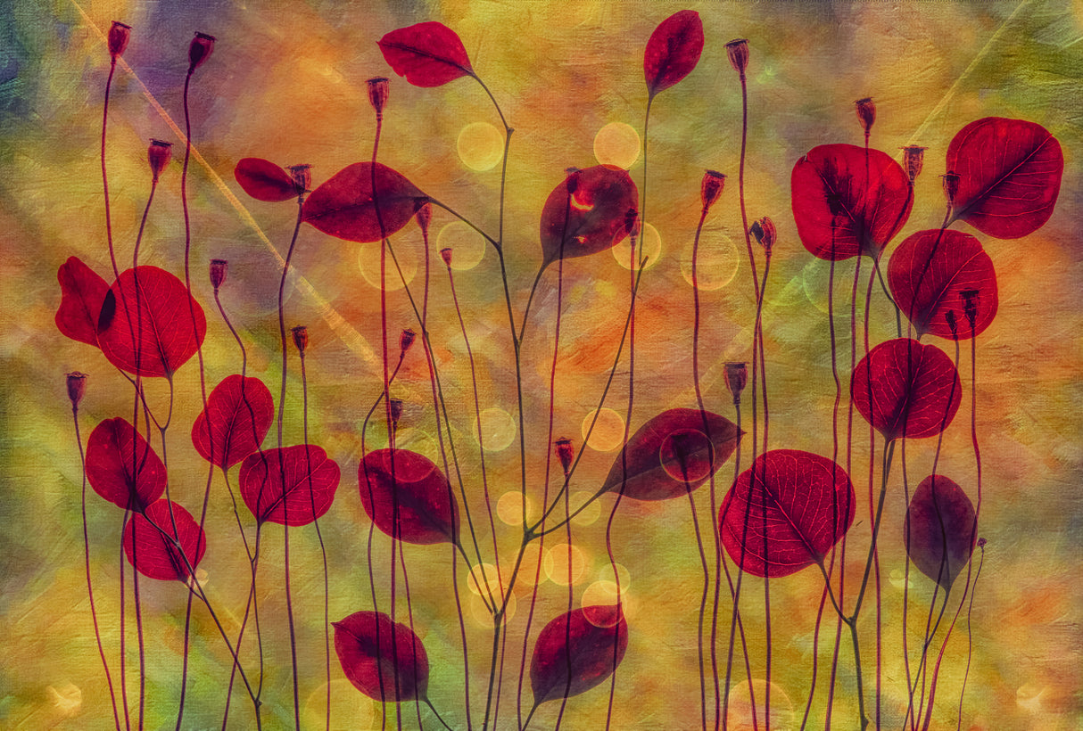 multi colour Poster och Canvastavla