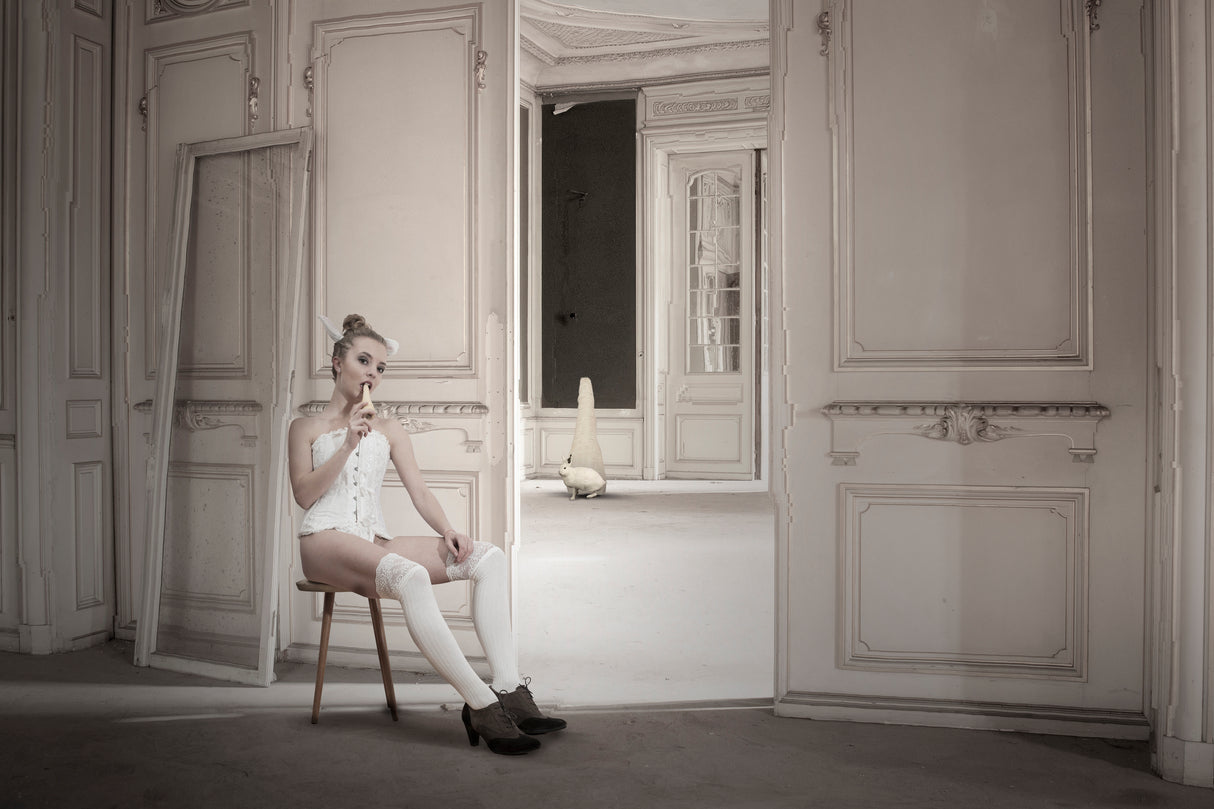 White rabbit´s dream Poster och Canvastavla