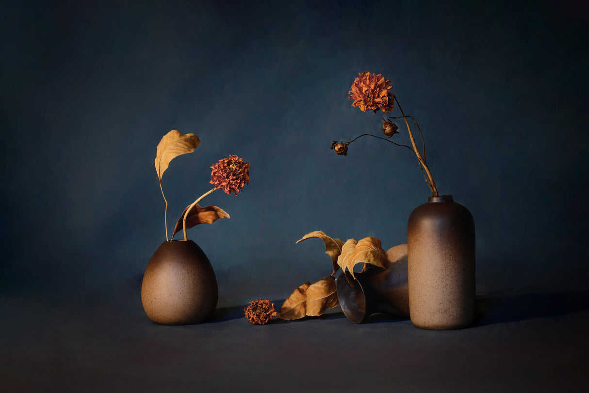 Dried Flower Poster och Canvastavla