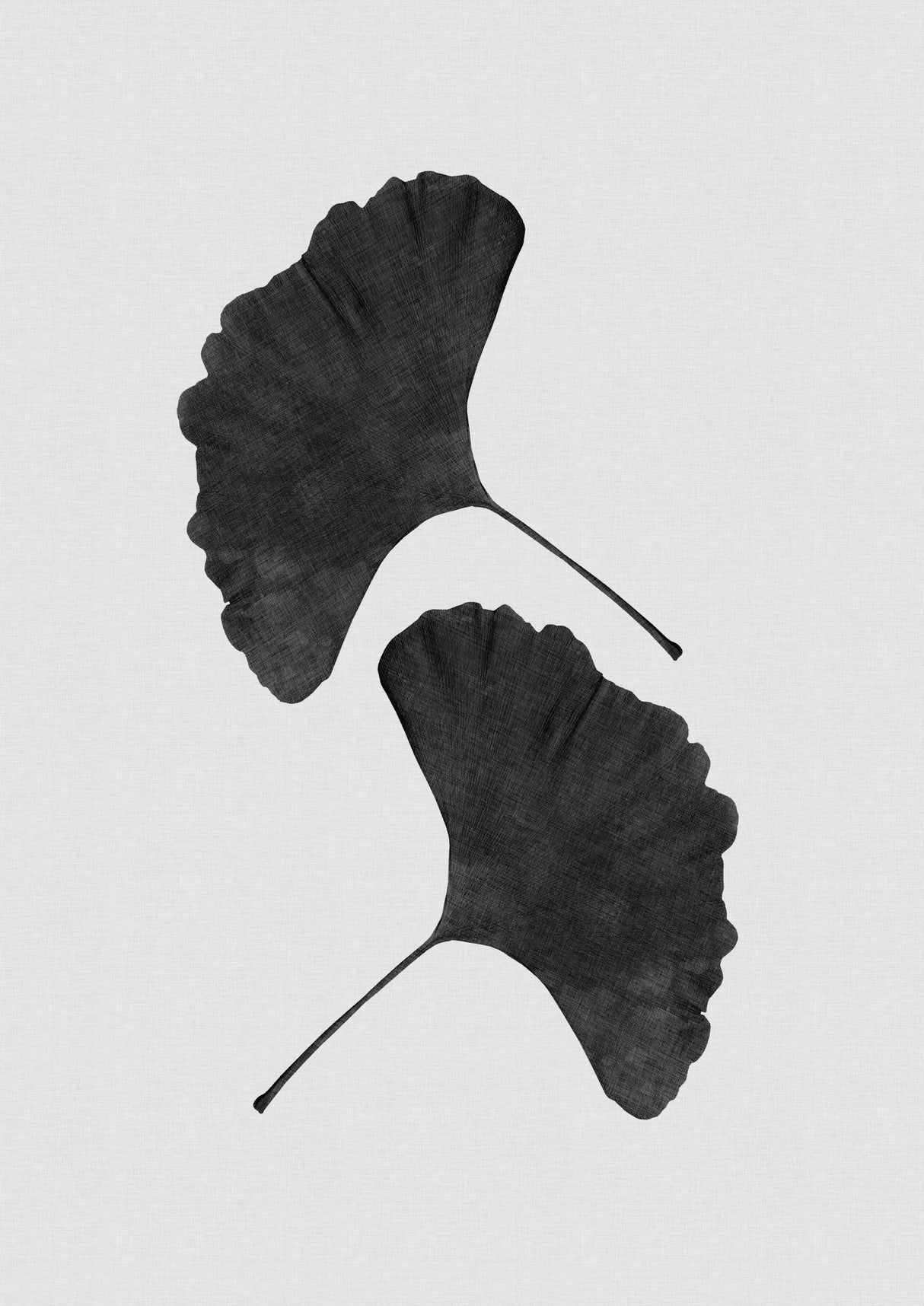Ginkgo Leaf Black & White II Poster och Canvastavla