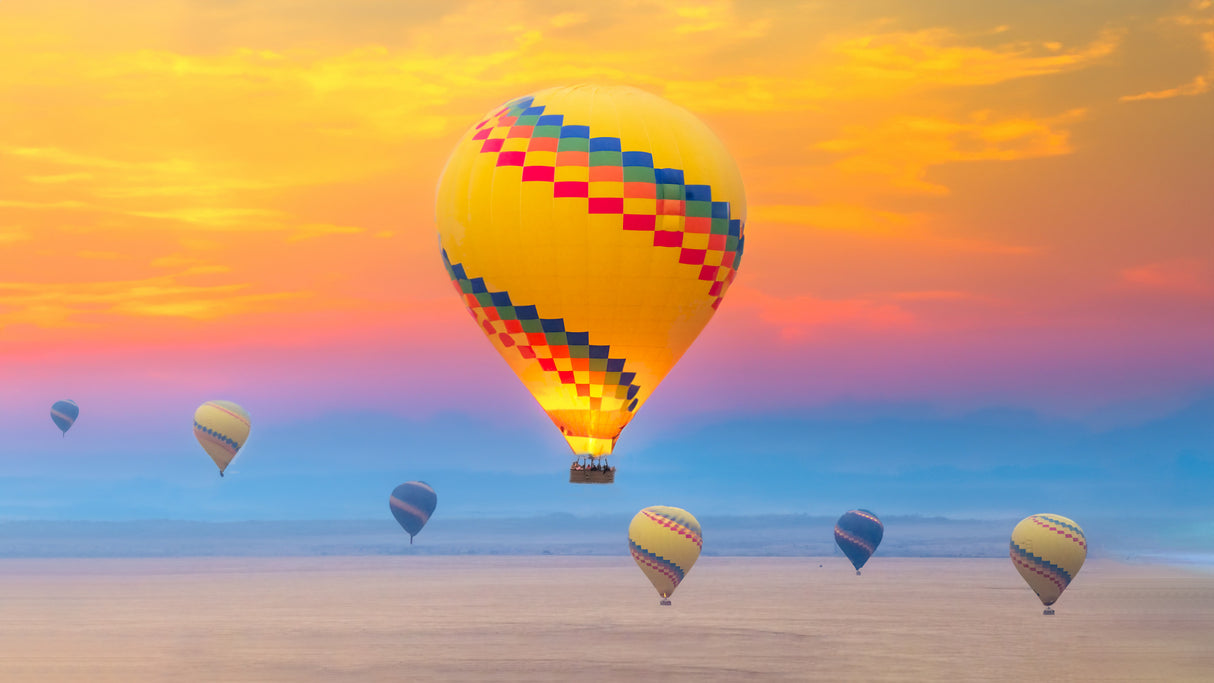 Balloons Safari Savanna Poster och Canvastavla
