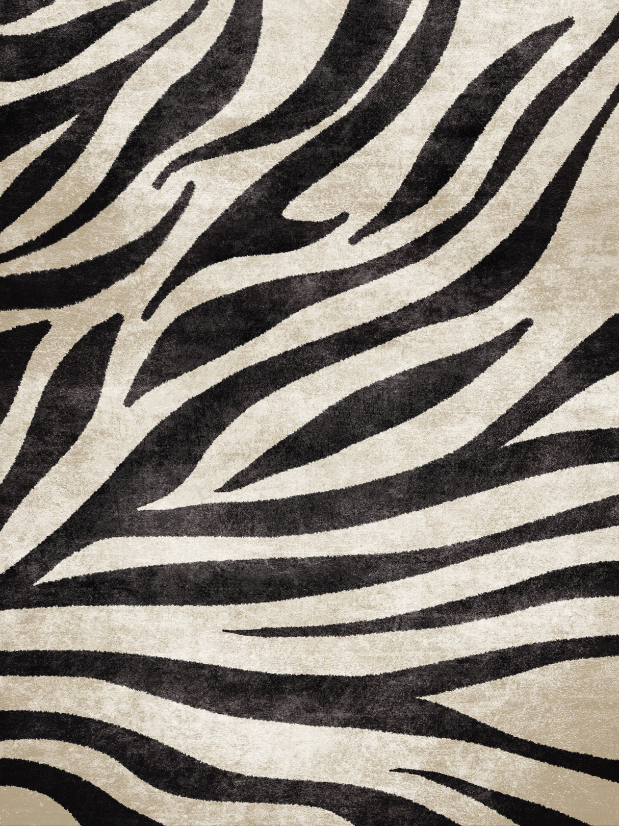 Zebra Poster och Canvastavla