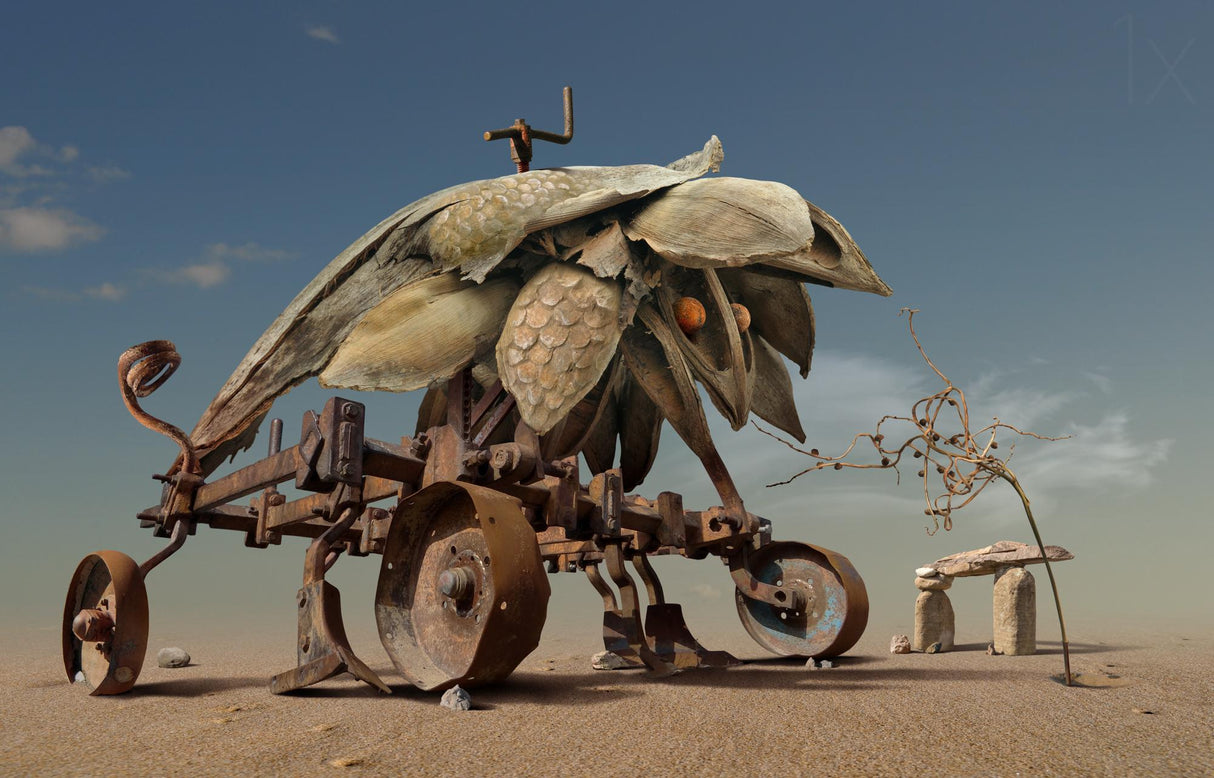 Encounter in the desert Poster och Canvastavla