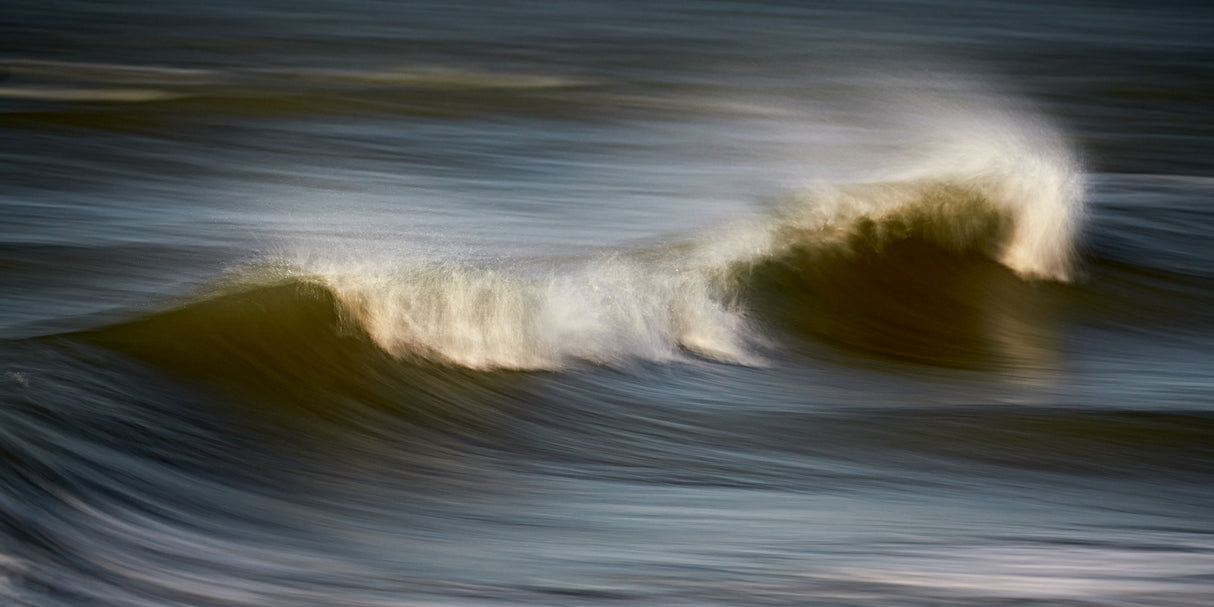 The elegance of a wave Poster och Canvastavla