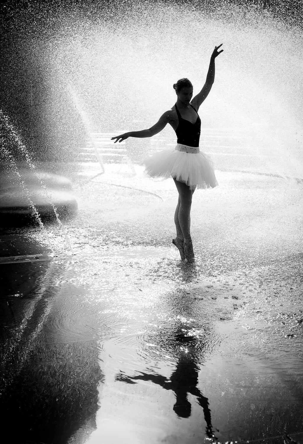 summerballett Poster och Canvastavla