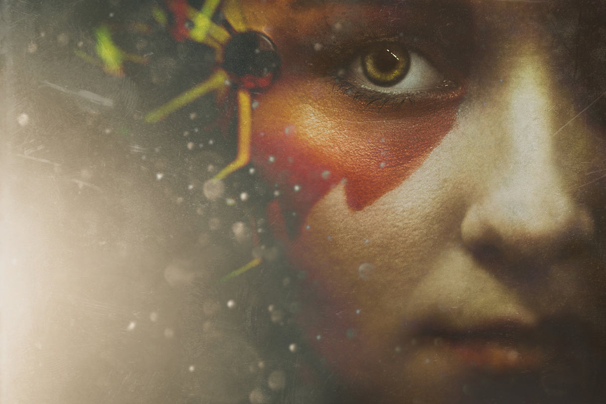 ...Daydreams... Poster och Canvastavla