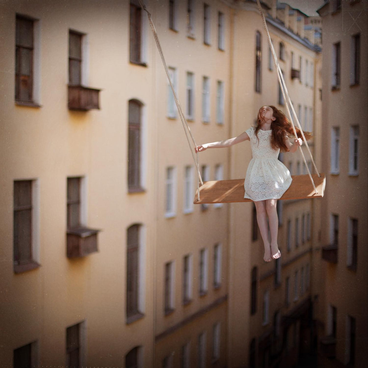The swings Poster och Canvastavla