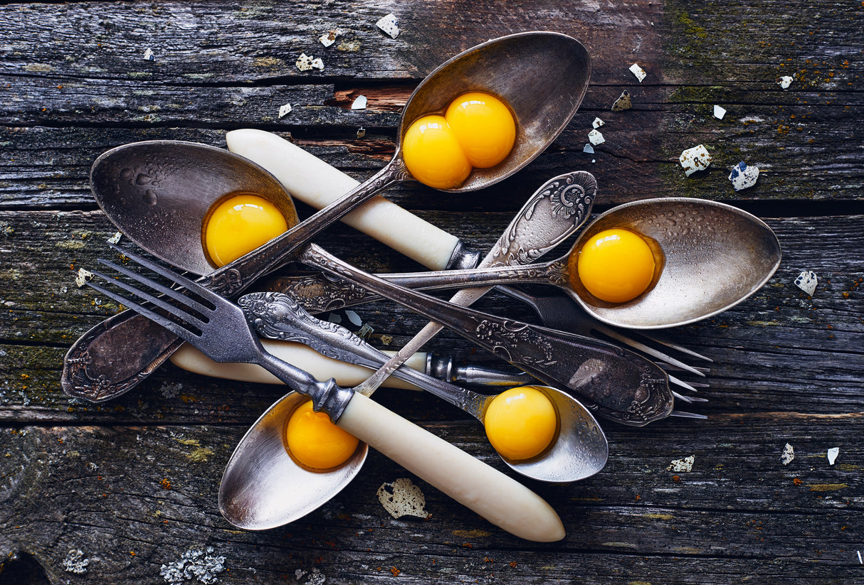 Spoons&Yolks Poster och Canvastavla