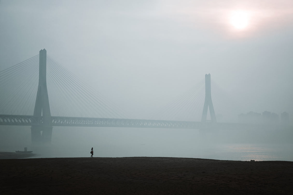 In the fog Poster och Canvastavla