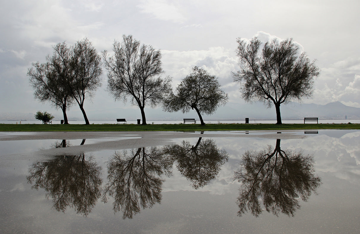 Reflection After Rain Poster och Canvastavla