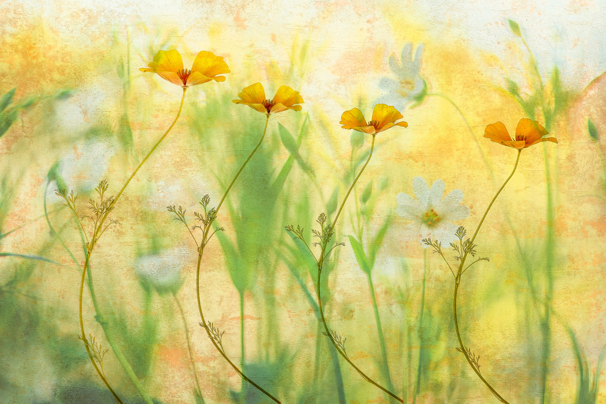 twisting all day Poster och Canvastavla