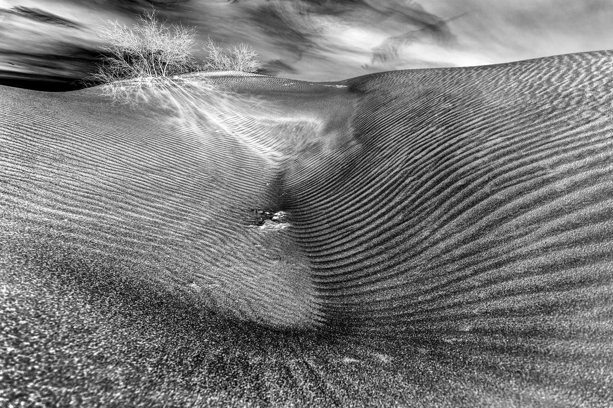 Strange SandDune Poster och Canvastavla