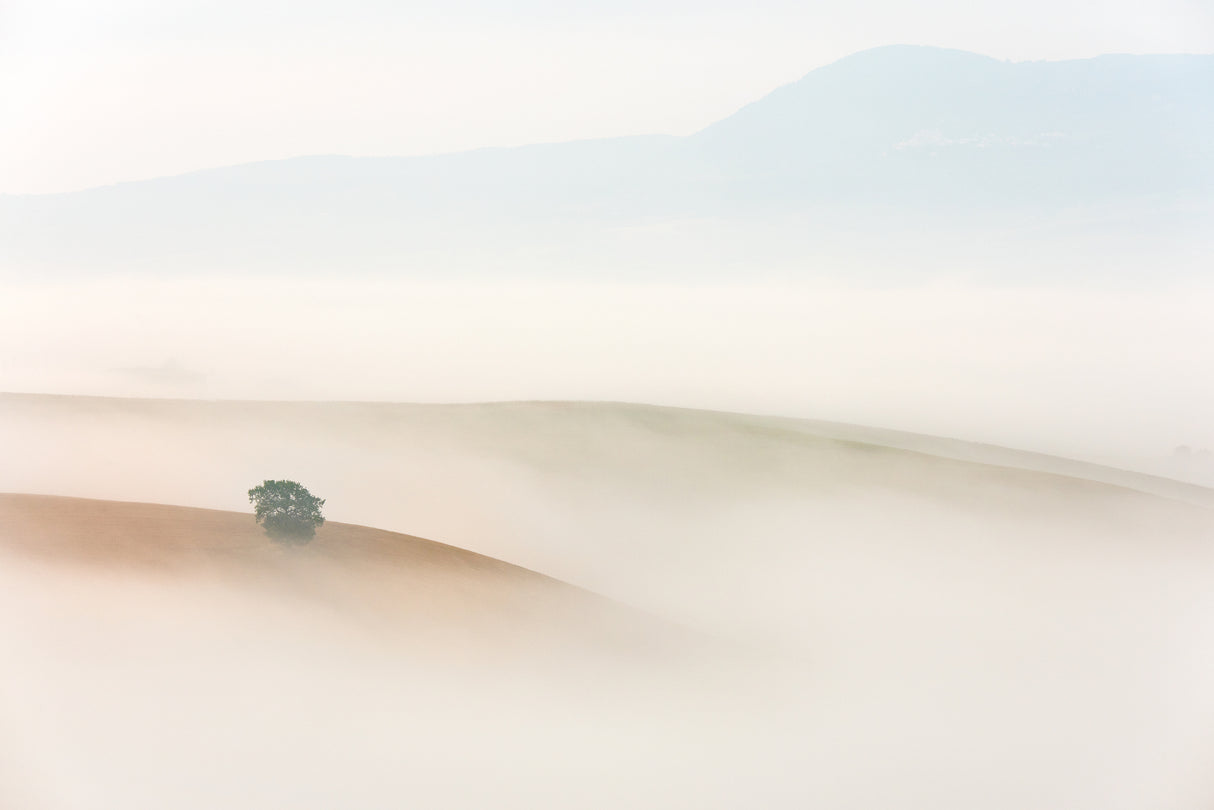 Tuscany Poster och Canvastavla