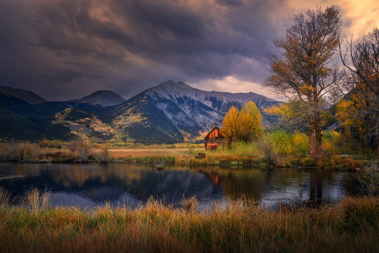 Autumn Memory Poster och Canvastavla