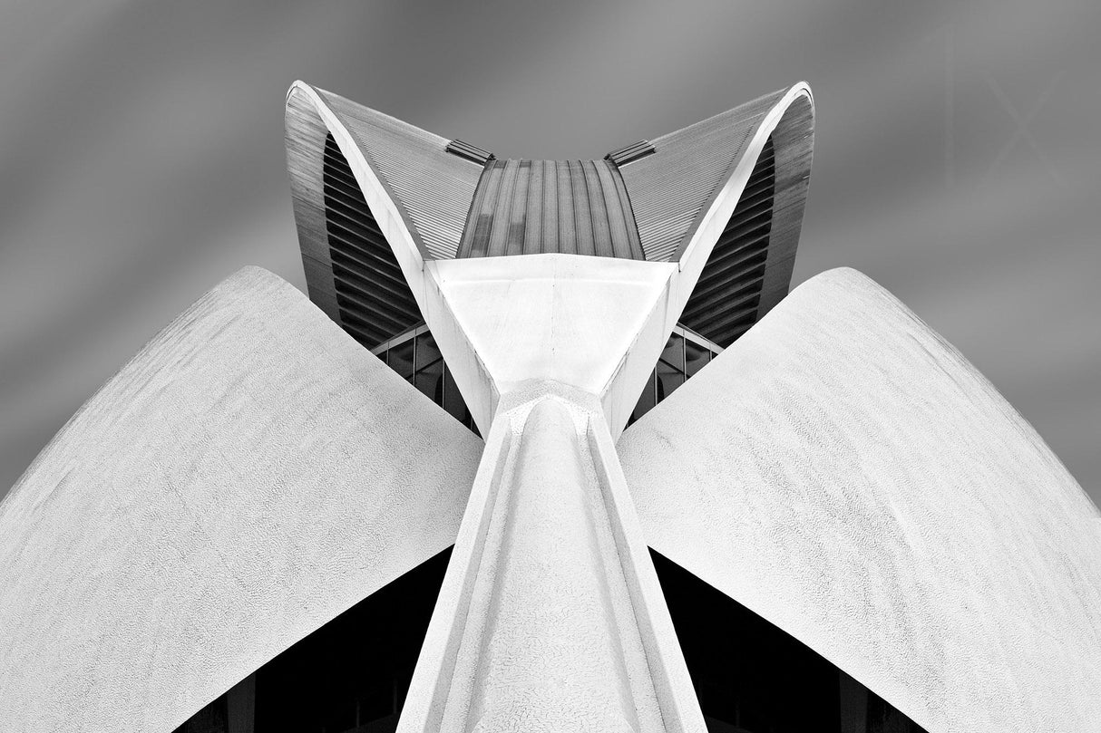Calatrava Poster och Canvastavla