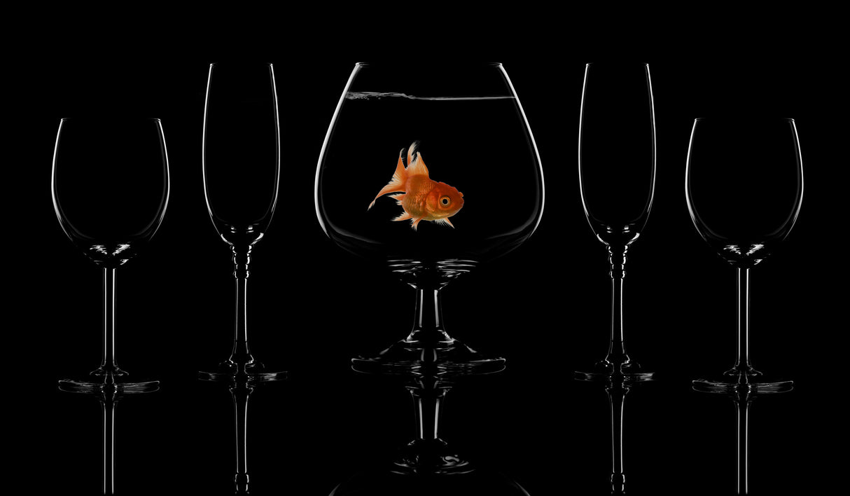 Glass fish Poster och Canvastavla