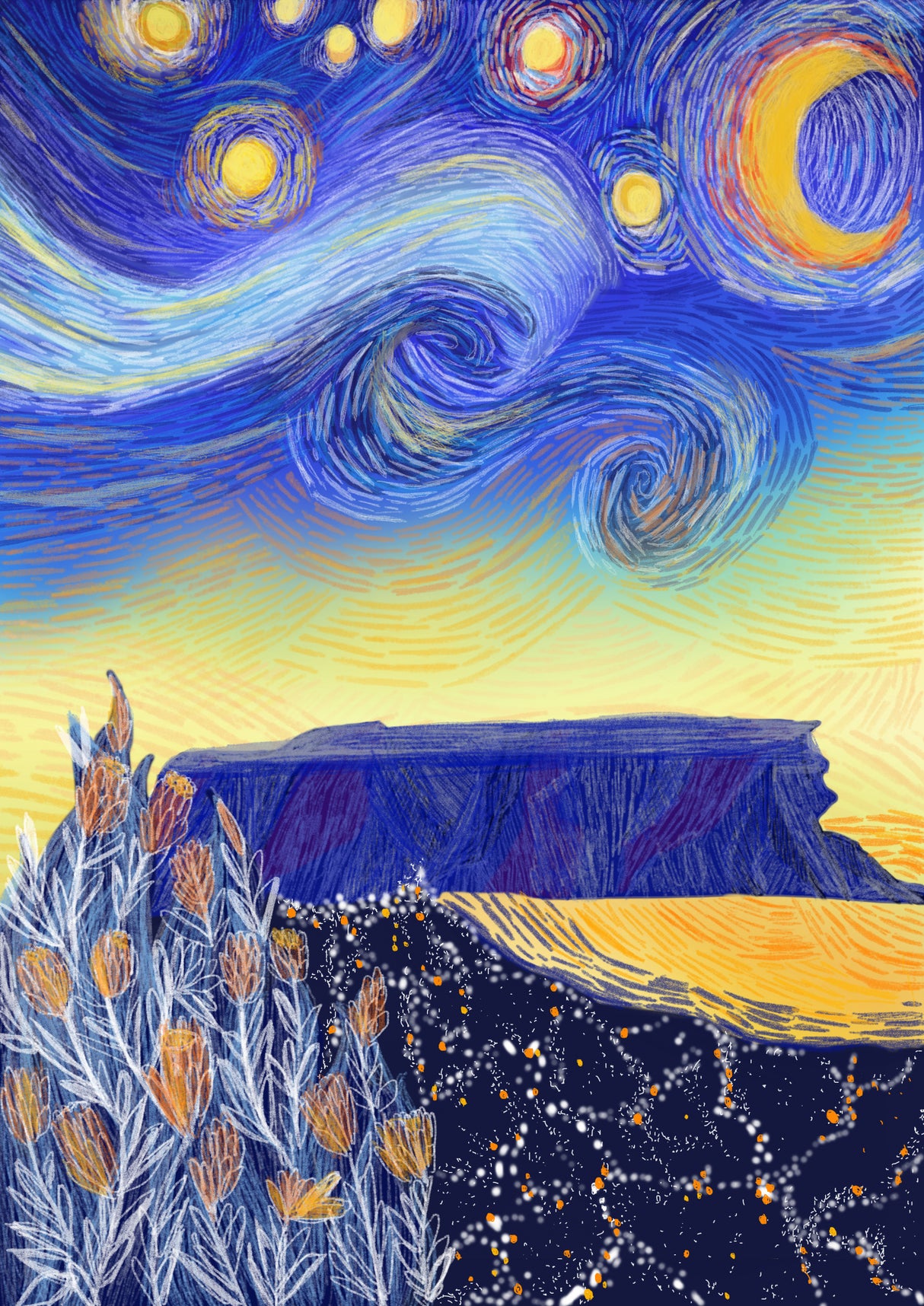 A starry cape town night Poster och Canvastavla