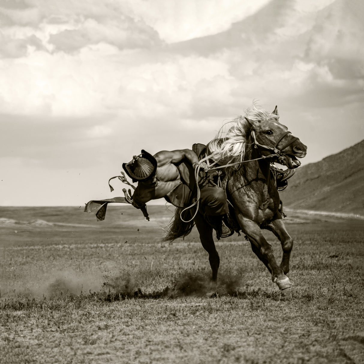 Galloping Poster och Canvastavla
