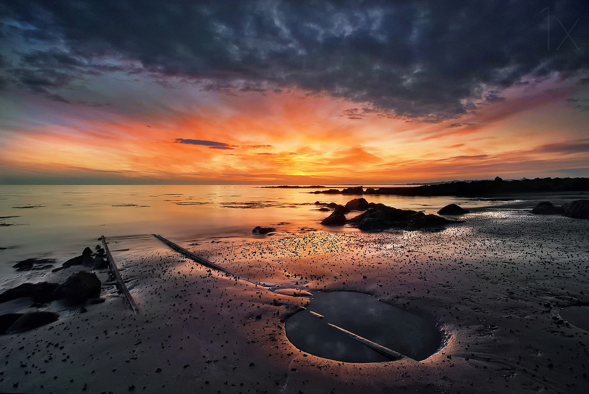 Into the Sunset Poster och Canvastavla