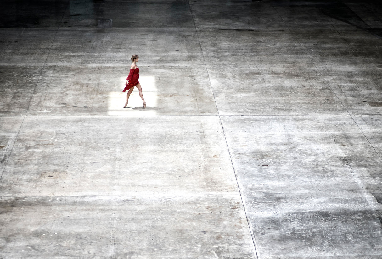Dancer in Tate Poster och Canvastavla