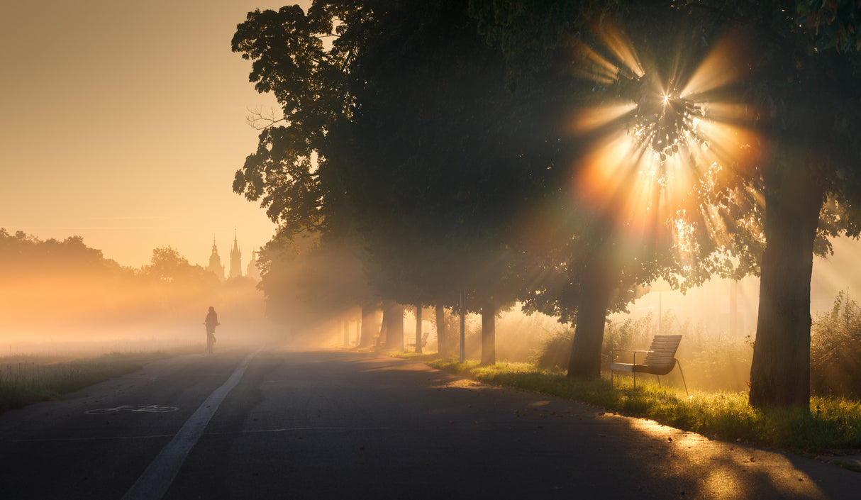 Kraków in the Fog Poster och Canvastavla