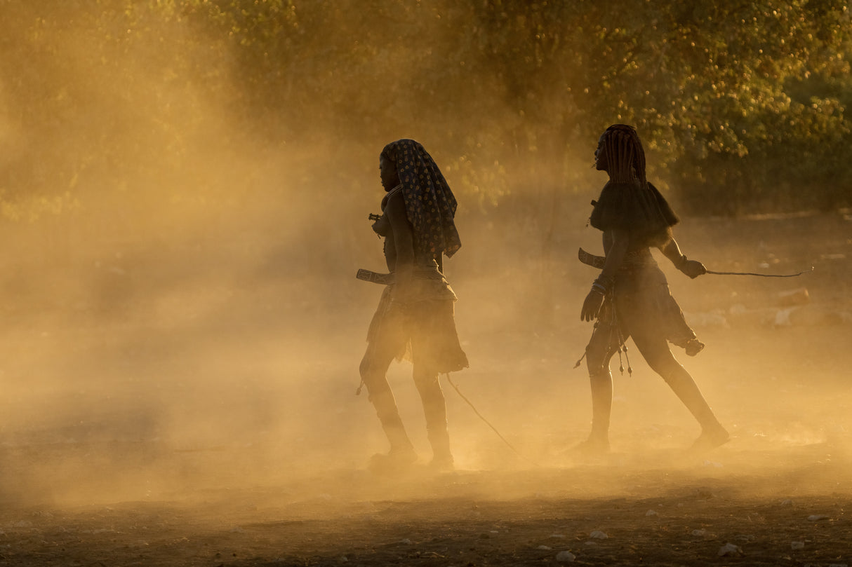 Simba maiden in the sunset light Poster och Canvastavla