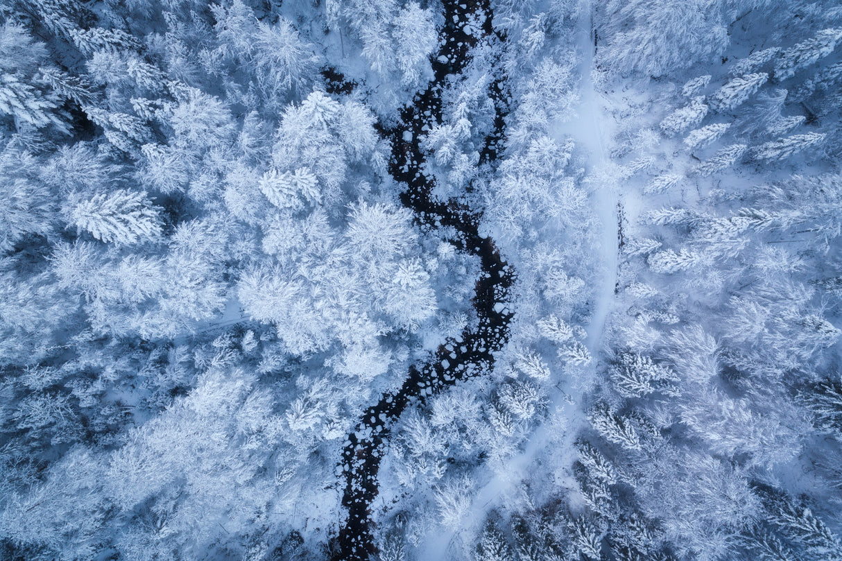 A Freezing Cold Beauty Poster och Canvastavla
