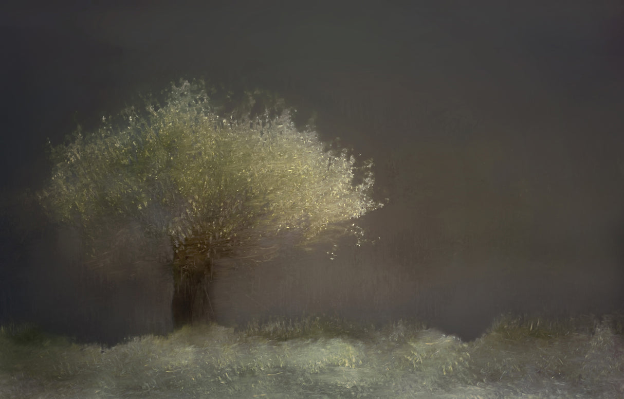 Willow Poster och Canvastavla