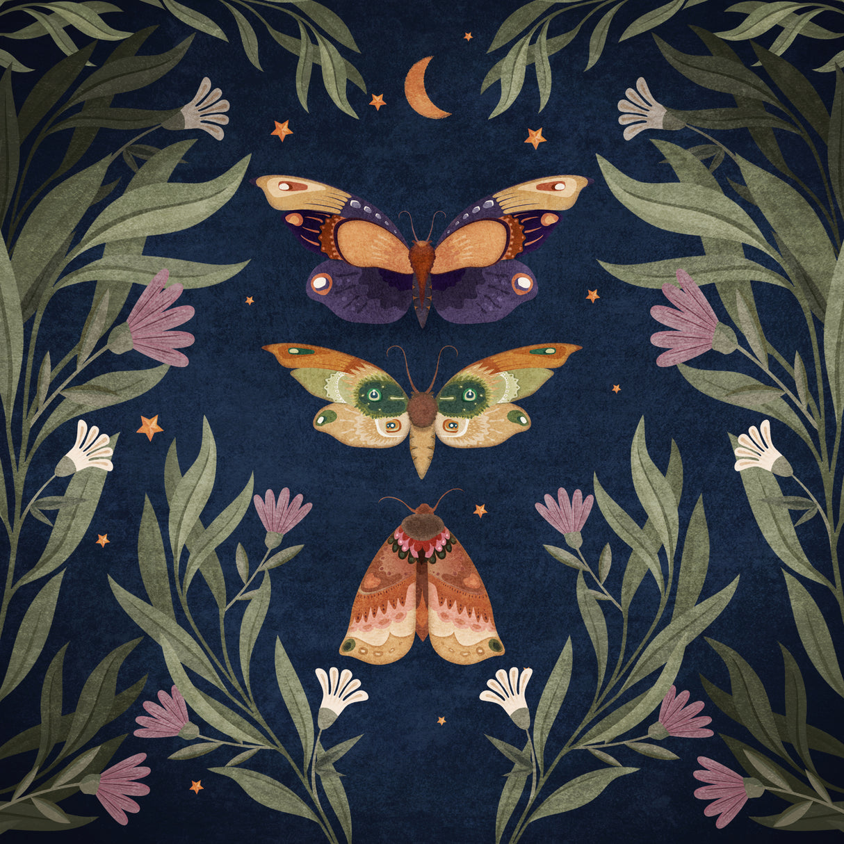 Butterfly Night Fly Poster och Canvastavla