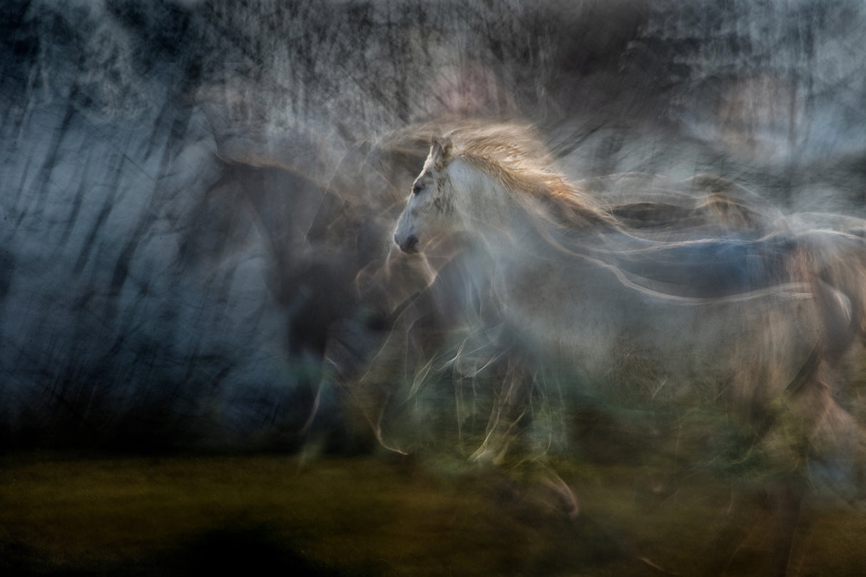 Echoinf of light Poster och Canvastavla