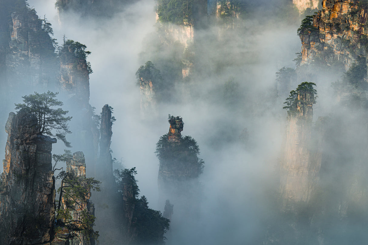 Wulingyuan Scenic Area Poster och Canvastavla