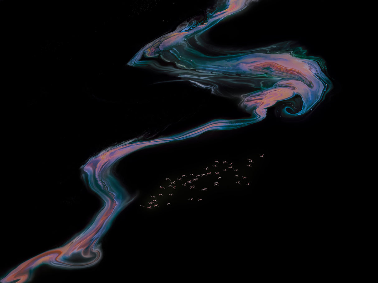 flamingos in a Galaxy 3 Poster och Canvastavla