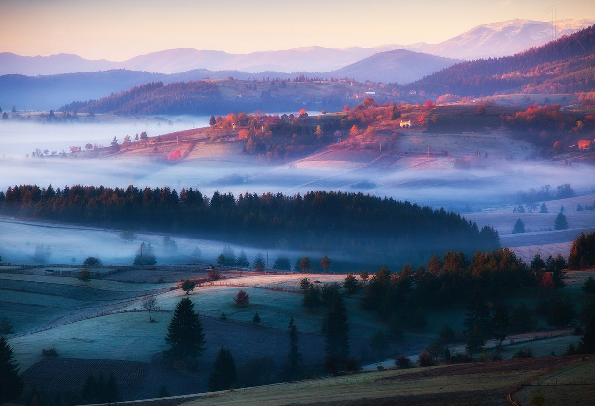 magical trails of mist Poster och Canvastavla