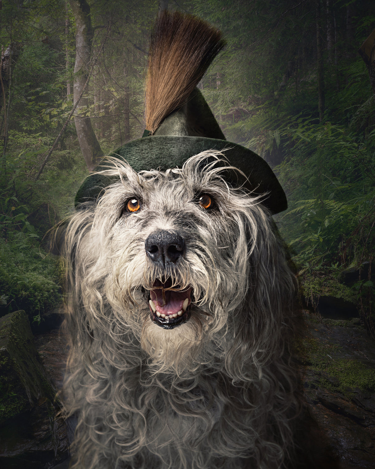 Deep in the wood Poster och Canvastavla