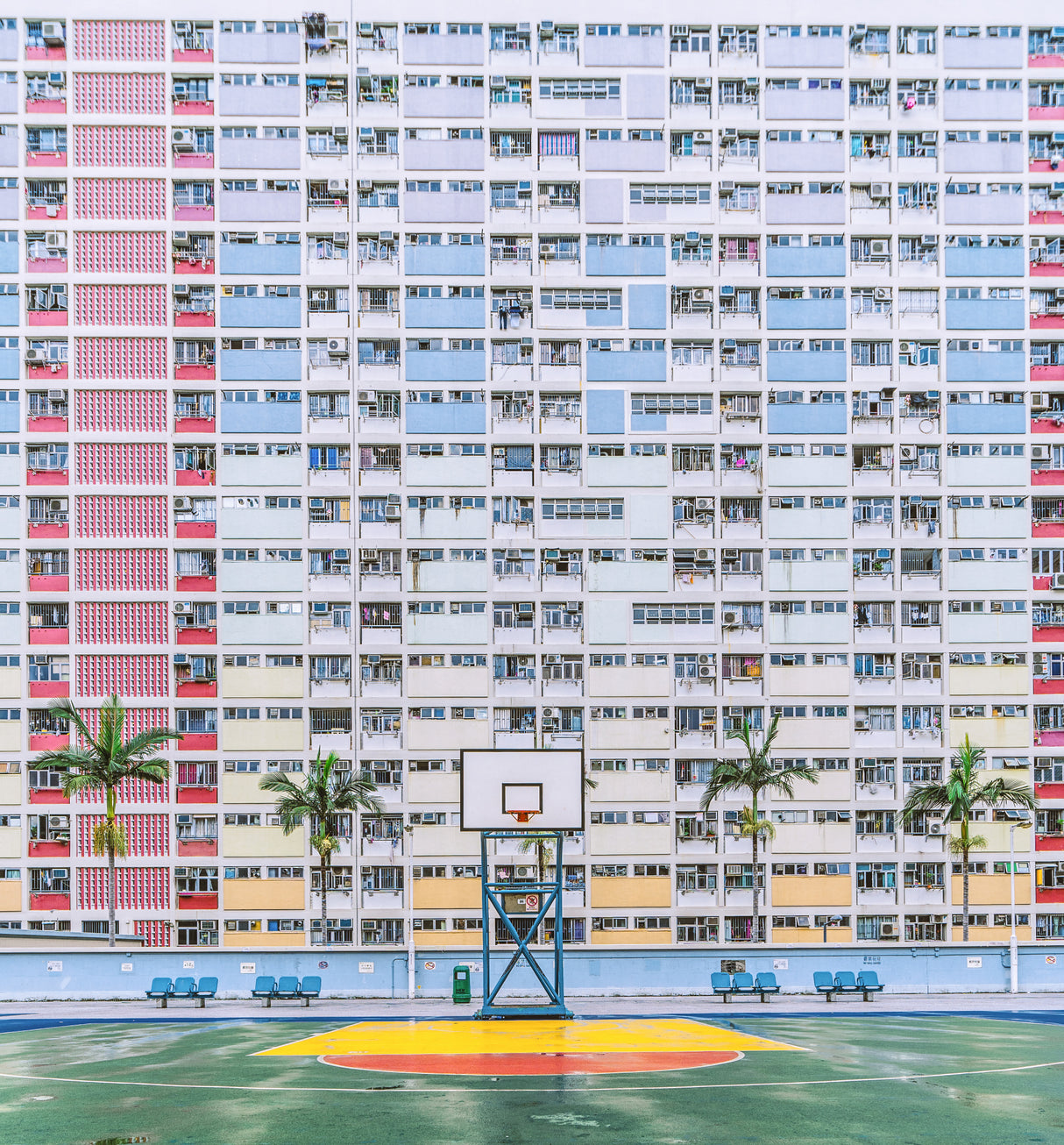 "Rainbow" Estate Poster och Canvastavla