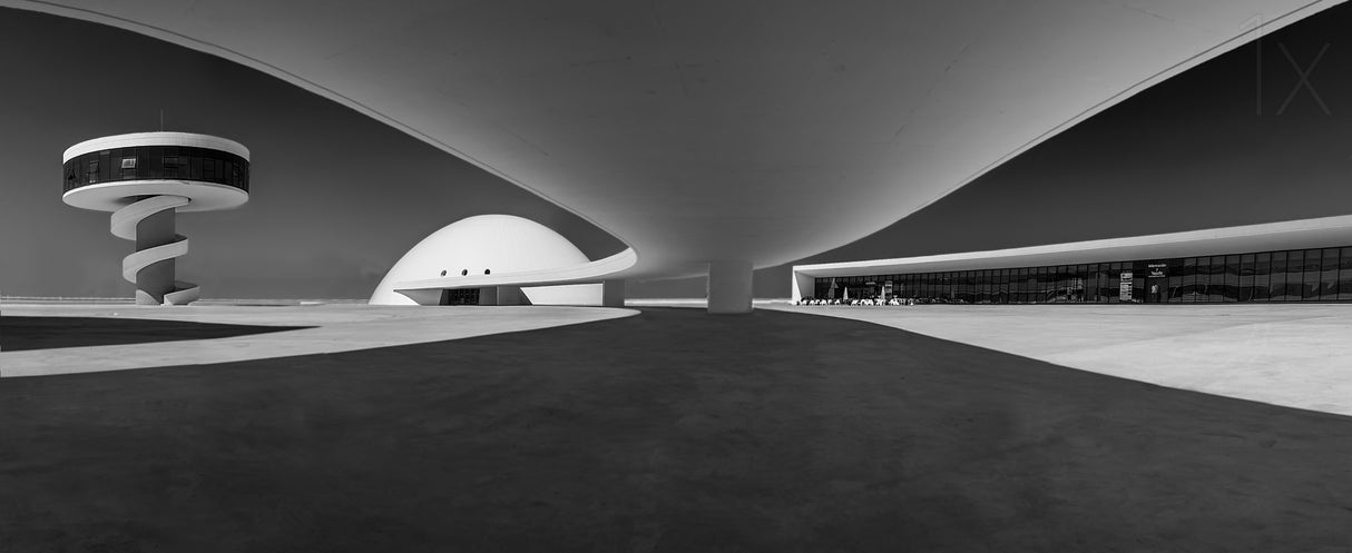 Niemeyer Poster och Canvastavla