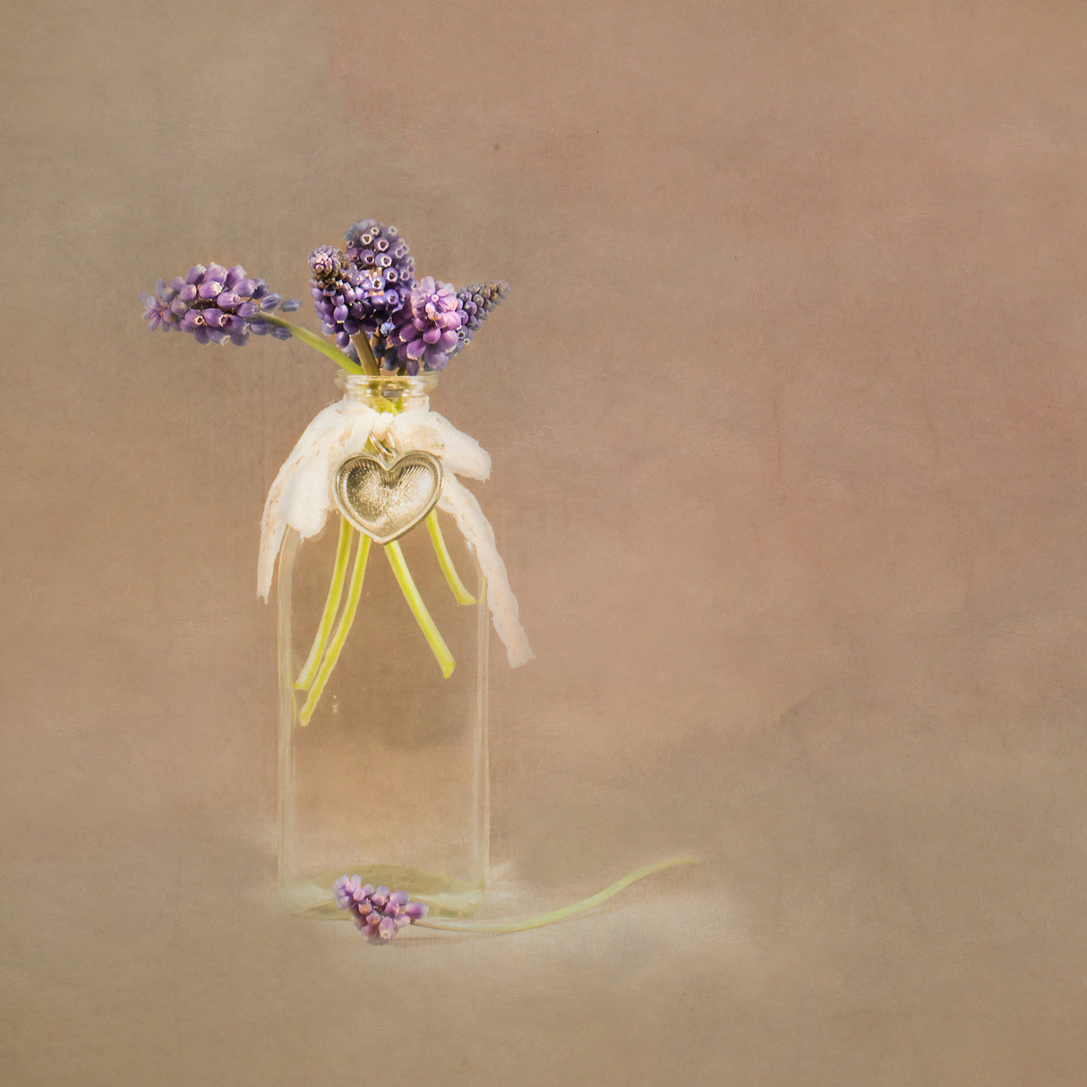 Spring flowers Poster och Canvastavla