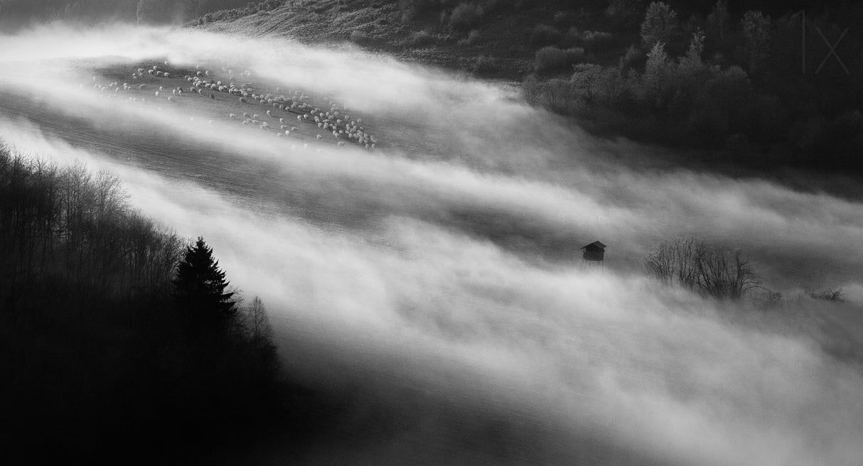 Morning misty flood Poster och Canvastavla