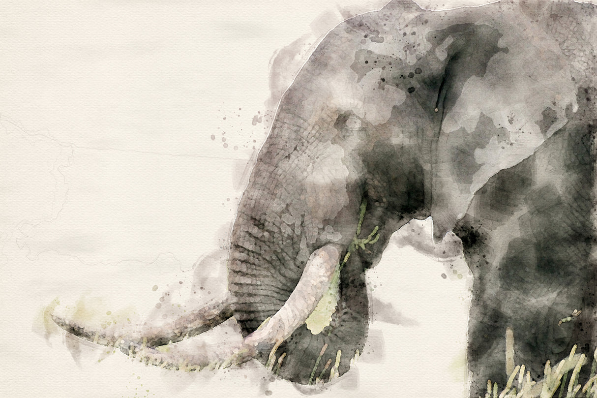 Abstract African Elephant Watercolor Art Poster och Canvastavla